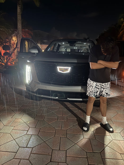 White Cheetah Shorts